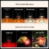 T58 Multi-function Retro Outdoor Camping Lantern