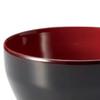 Lacquerware Dishwasher Made In Japan J-kitchens Bowl, Hand-Painted, Safe, PID-529531,