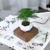 Household Levitating Air Bonsai Pot Rotation Flower Pot Planters Potted Plant Without Plants Magnetic Suspension Floating Pot