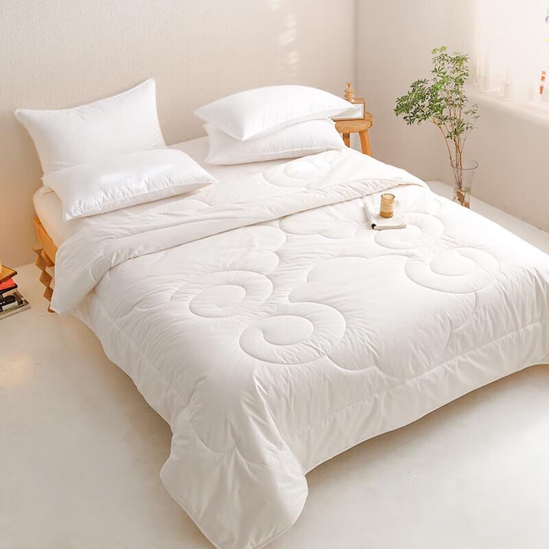 Jieniya All-Season Fiber Quilt