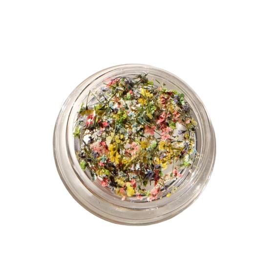 

Стильное декоративное универсальное красочное украшение для ногтей из сушеных цветов для маникюра B