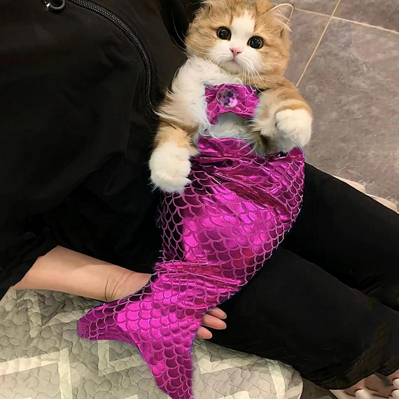 Coda da Sirena Sequin per Gatto Vestito Coda da Sirena Per Halloween Vestito Coda di Pesce Gatto Travestimento Comodo Morbido Vestito per Cane Animale Domestico Divertente