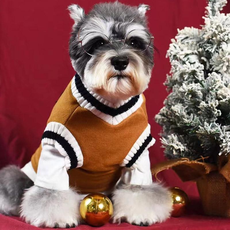 Autumn and winter knitted vest V-neck college style pet clothes vest Teddy Winter Warm Pet Sweater College Style Puppy Knitwear