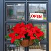 Artificial Poinsettia Floral Red Flowers Hanging Basket with LED Lights Christmas Hanging Basket Create Warm Atmosphere