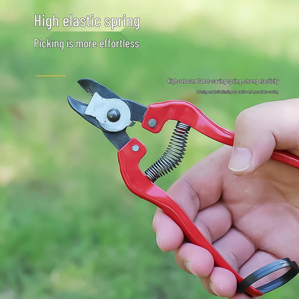 Nest-Shaped Pruning Shears: Thick Branch & Fruit Picking Scissors