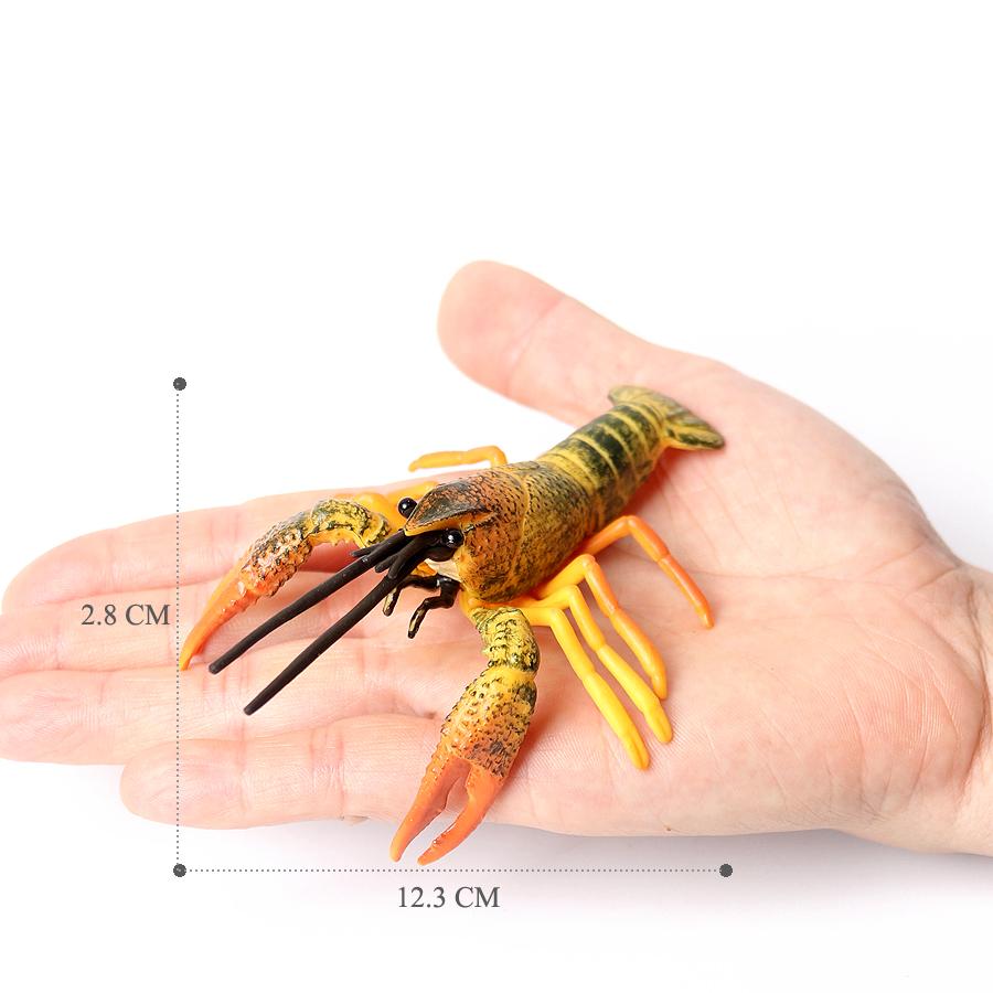 Realistic Prehistoric Sea Creatures Animal Figurines Baculite,Opabinia,Crab,Mantis Shrimp Educational Marine Animal Mode Figures