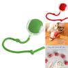 Interactive Silicone Cat Chew Ball For Fun Playful Moments And Endless Entertainment For Pets