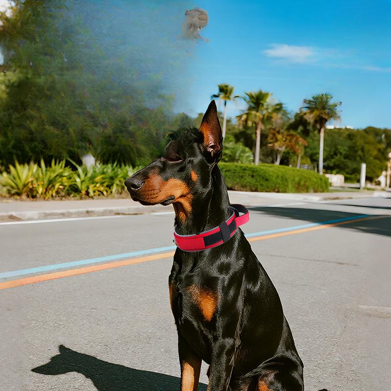 Tactical Dog Collar Explosion-proof Hand-held Medium and Large Dog Adjustable Reflective Neck Collar Pet Nylon Collar