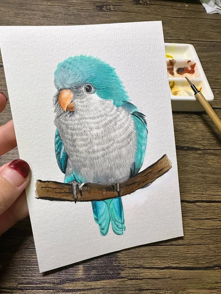 48-12 Farben Handgemaltes Chinesisches Malset - Professionelle Aquarellfarben in Festfarben, Ideal zum Skizzieren und Illustrieren