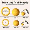 Professional Circle Dog Toys for Aggressive Chewers - Durable Floating Training Toys for Labrador, Golden Retriever, and Border Collie Puppies
