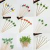 100Pcs/bag 12cm Bamboo Pick Buffet Cupcake Disposable Fruit Fork Party Dessert Salad Stick Cocktail Skewer for Party Decor