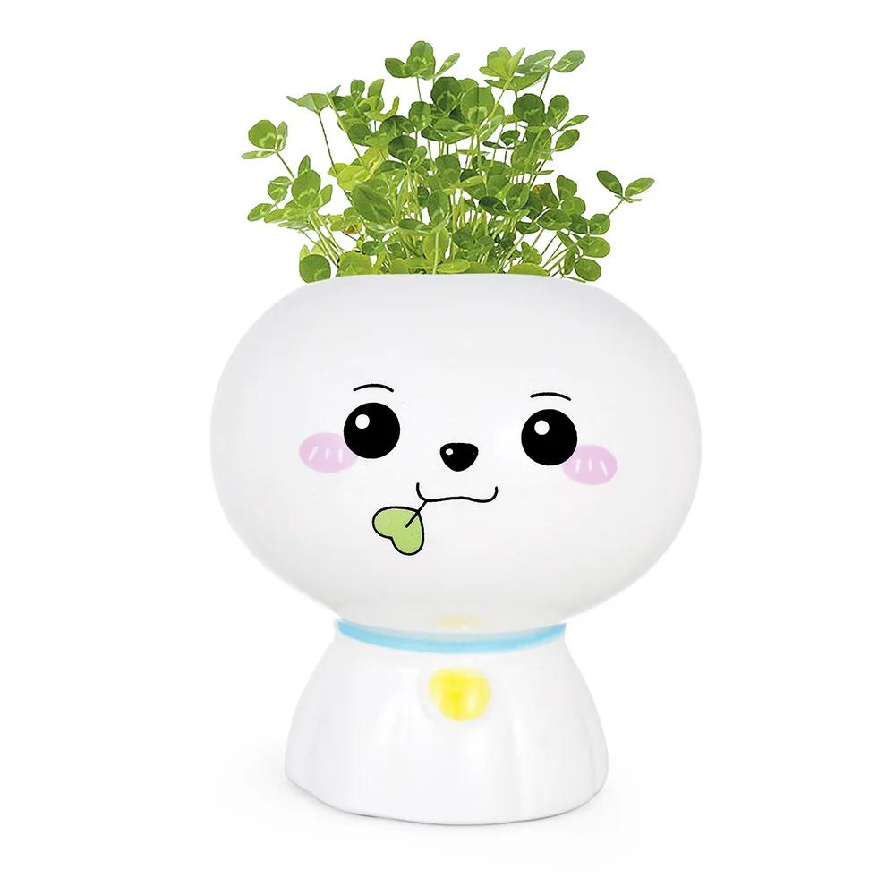 Nouă mini păpușă drăguță ghiveci cu flori Ghiveci din ceramică suculente în ghivece creative bricolaj jucării pentru copii cadou educație științifică decor acasă