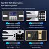 Shouli Zhanshen Electronic Fingerprint Security Cabinet