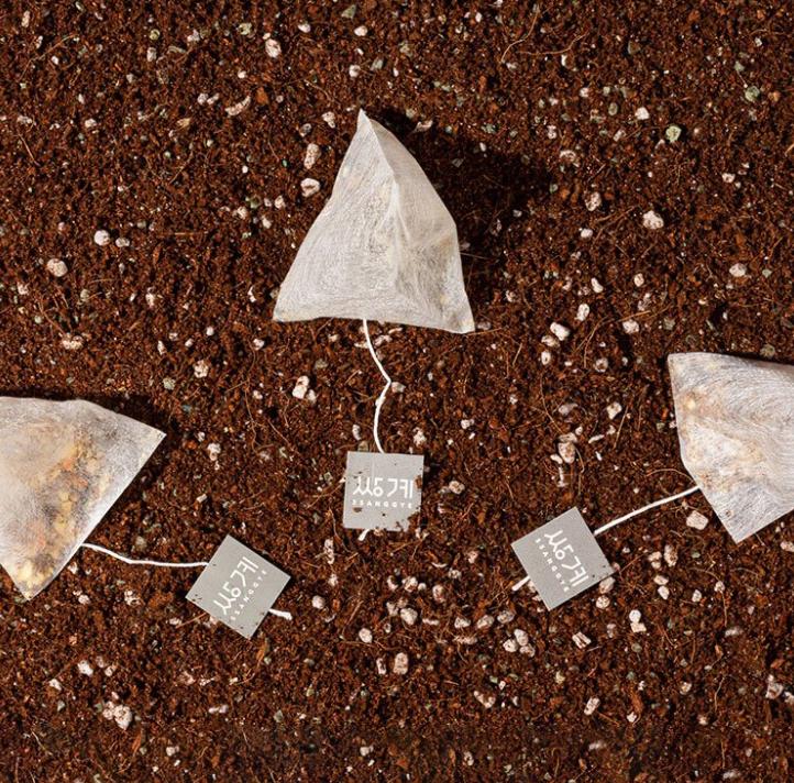 Ssanggye Fruit Hug Lime Green Tea Can 340ml