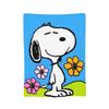 Snoopys Woodstock Velvet Throw Blanket Cartoon Blankets for Sofa Bedroom Super Warm Quilt,