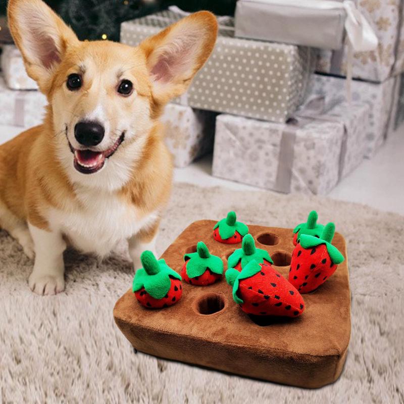 Erdbeer-Stofftier-Hundespielzeug Verstecken Hundestofftier Erdbeerenspielzeug Matten 12 Erdbeeren Quietschende Erdbeeren Bauernhof-Hundespielzeug Erdbeere