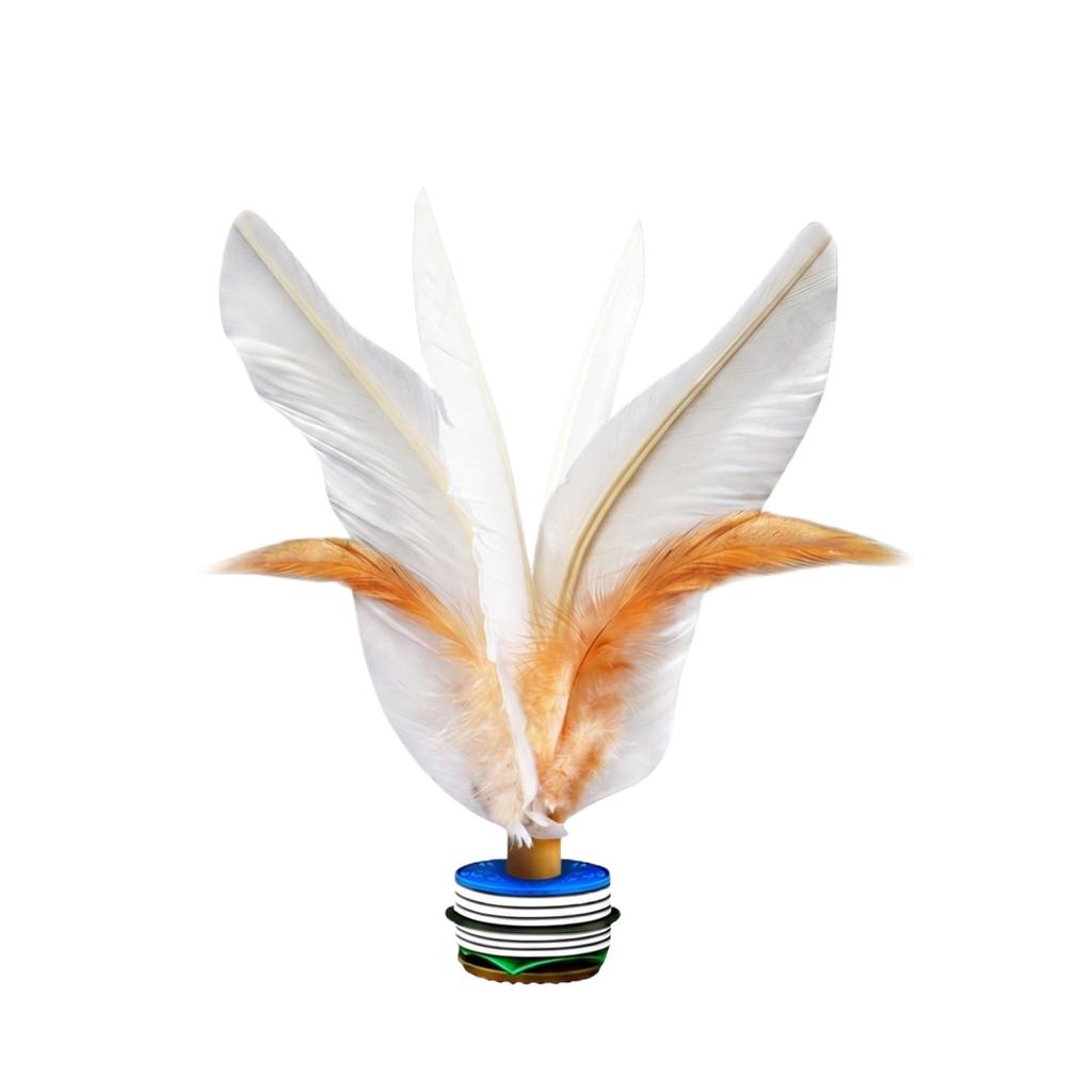 Traditional Feather Shuttlecock for Jianzi Foot Kick Game Durable Handmade Sports Training Equipment with Natural Feathers and Weighted Base