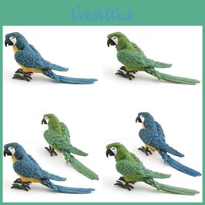 Realistisches Plastik-Papageienmodell Bunte dekorative Vogelfigur für Heimdekoration