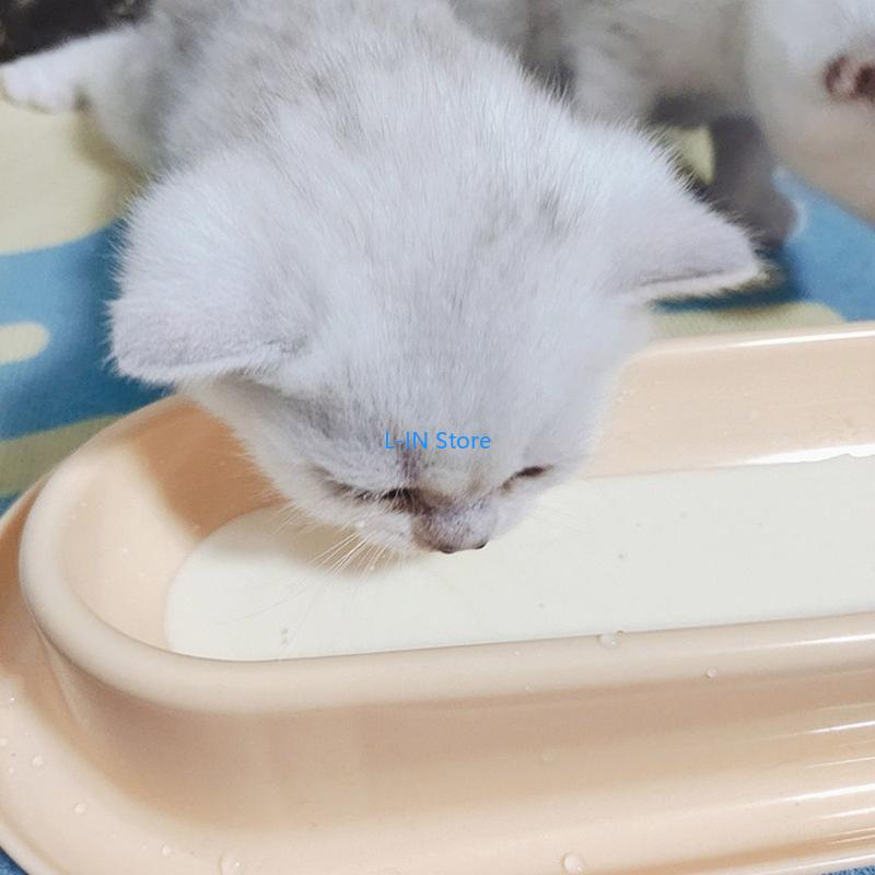 Slanted Bowls Small Dog 15° Tilted Water Feeding Dish 14in Long