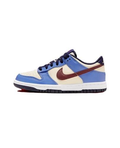 Nike Dunk Low From Nike To You FV8119-161