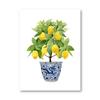 Blue and White China Magnolia Hydrangea Prints Chinoiserie Art Canvas Painting Gallery Wall Art Picture Poster Trendy Wall Decor