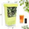 Fresh Herb Keeper for Refrigerator, Clear BPA-Free Herb Saver, Storage Container for Cilantro, Parsley, Thyme, Mint & Asparagus, Preserver Keeps