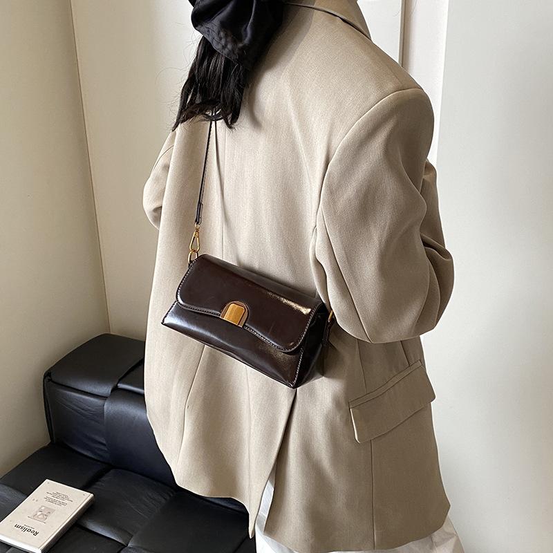 High-end Fashion Trendy Underarm Bag Women's 2025 Winter New Simple Casual Shoulder Small Square Bag Niche Messenger Bag