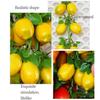 Room Artificial Lemon Modle 2 Strings 52CM Garden Decor Home Ornaments PU