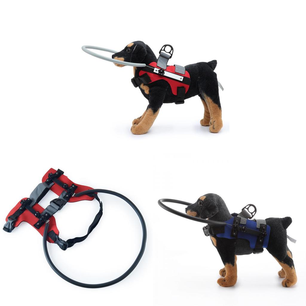 Sicherheitskragen für blinde Hunde mit stoßfestem Design für die Pflege älterer Hunde