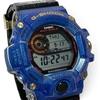 Used CASIO G-SHOCK Rangeman GW-9406KJ-2JR Cassowary