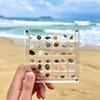 1Pc Rock Collection Box For Bead Nail Jewelry Acrylic Magnetic Seashell Storage Box 36/64 Grids Small Craft Organizers Container