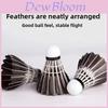 Black Feather Badminton Birdie With Foam Head For Training And Recreation