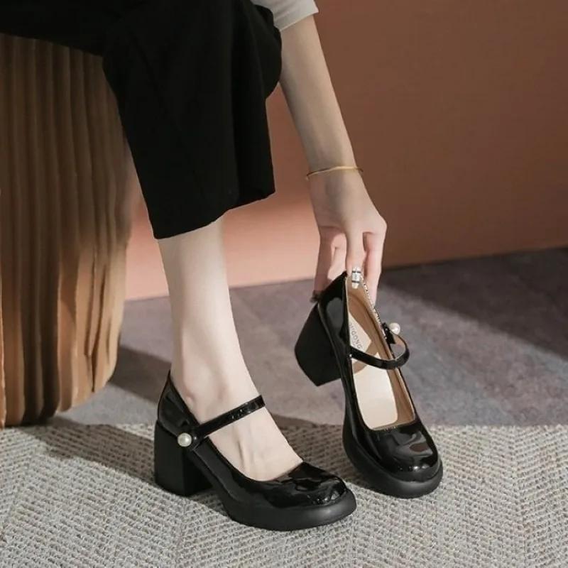 Fashion Ladies Shoes 2025 Mary Janes Women's High Heels Fashion Dress Pumps Women Round Toe Shallow Chunky Heels Shoes Women Zapatos