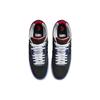 Nike Sb Ishod Wair Nba 75th Anniversary DM0752-002