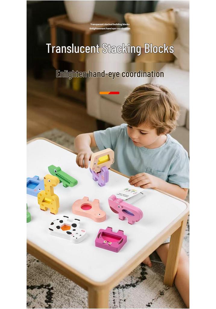 Wooden Educational Animal Train: Stacking & Concentration Set with Translucent Acrylic Blocks