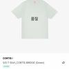 CORTIS S/S T-Shirt_ BRIDGE (Green) M