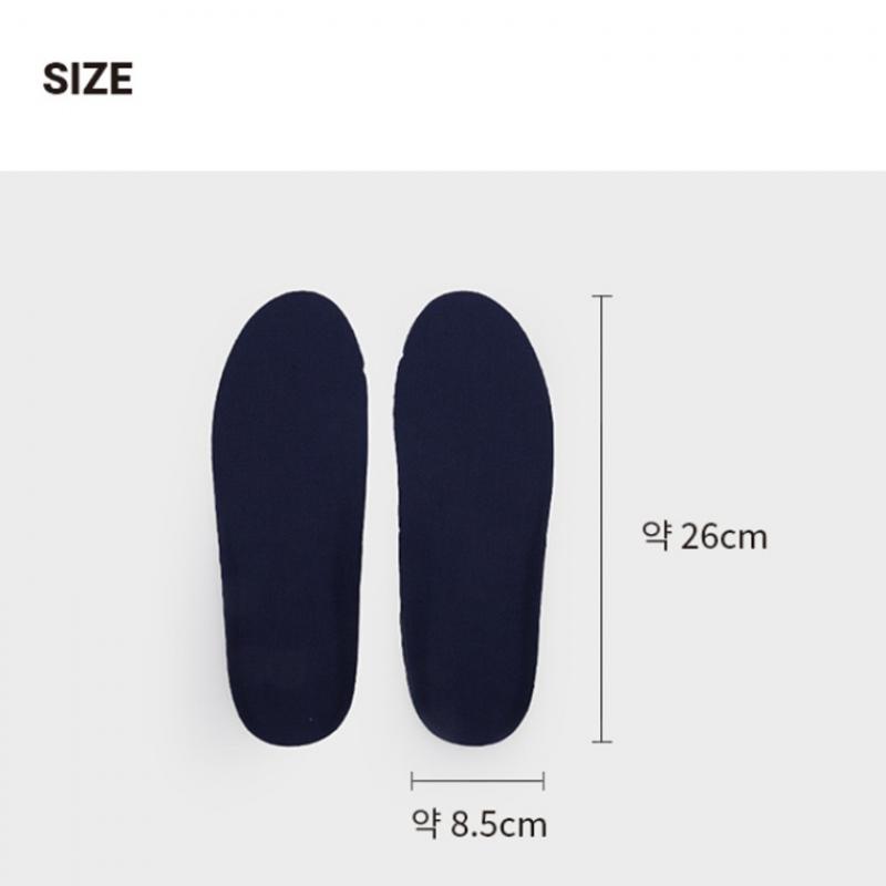 Daiso Antimicrobial Treatment Insole 220 To 250 Mm