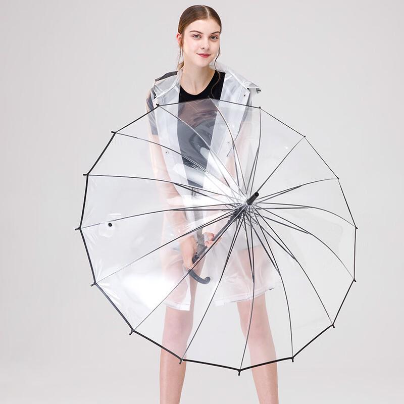 Transparent Straight Handle Umbrella