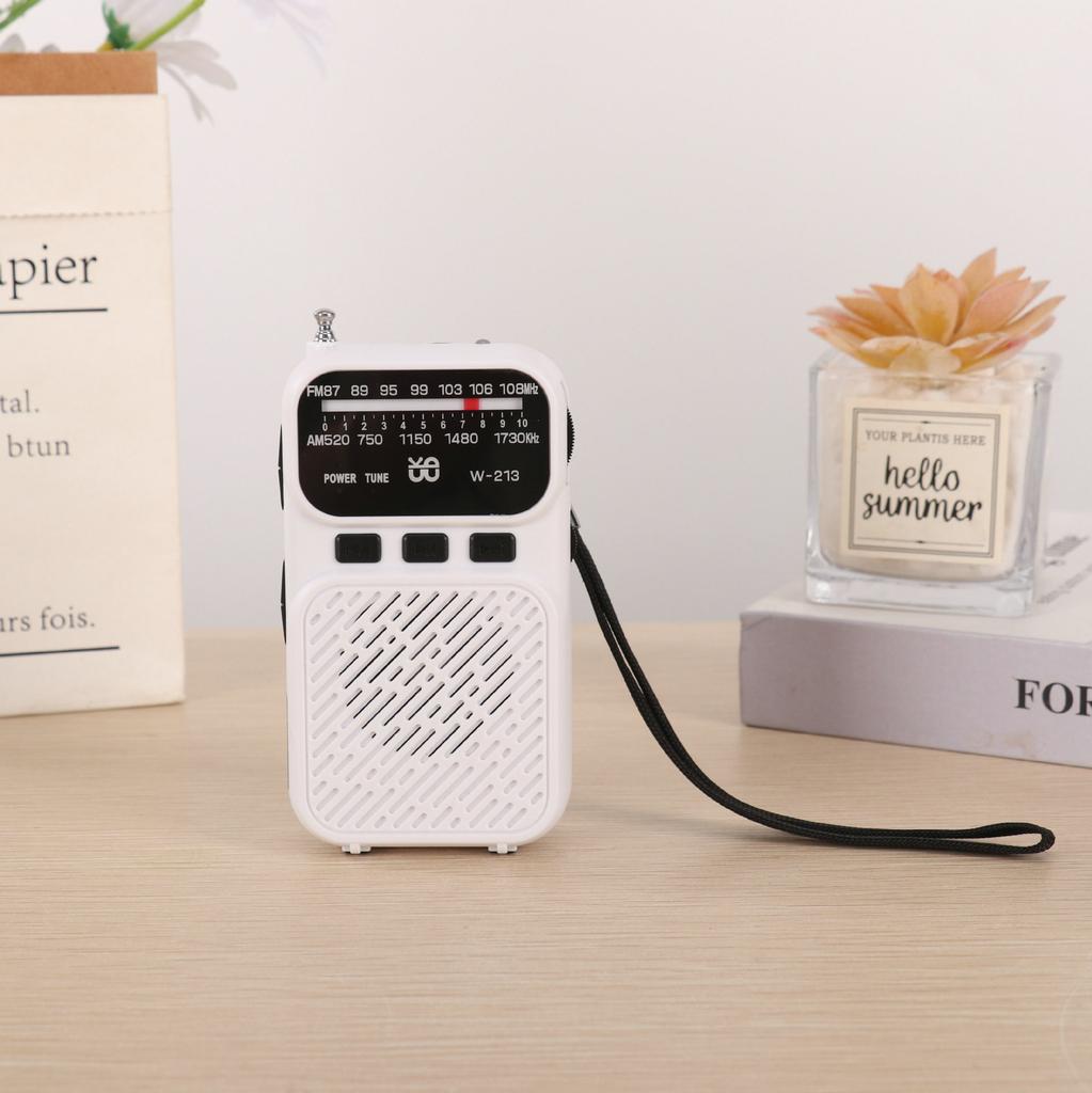 Mini Portable Pointer FM AM Radio LED Flashlight Stable Signal DSP Radios Rechargeable Bluetooth Speaker Earphones Listening Ra