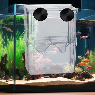 Professional Aquarium Fish Breeder Box Transparent Plastic Aquarium Accessories Suction Cup Isolation for Fish Tank Hatching