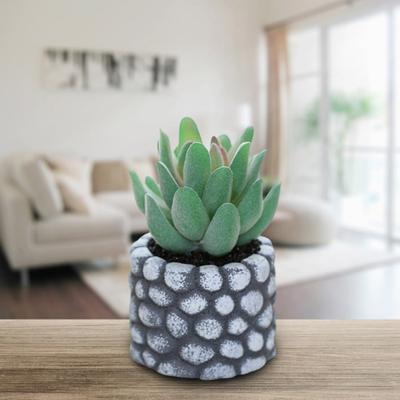 Desktop-Ornament, Simulation von Bonsai, ohne Bewässerung, praktische künstliche Sukkulenten-Pflanze