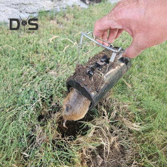 Gopher Trap Rodent Control Tunnel Reusable No Bait Needed Sustainable Mole Trap for Outdoor Farmhouse Rat Elimination