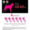Frontline Tri-Act Hund - Floh- und Zeckenschutz für Hund XL - 40-60kg - 6 Pipetten