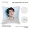 Cool Actor Zhang Linghe Cushion Cover Comfortable Reversible Pillow Cover Ideal For Car Sofa Bedroom & Beyond