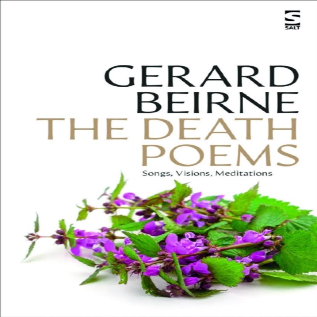 The Death Poems by Mr Gerard Beirne Paperback Book 9781784632731