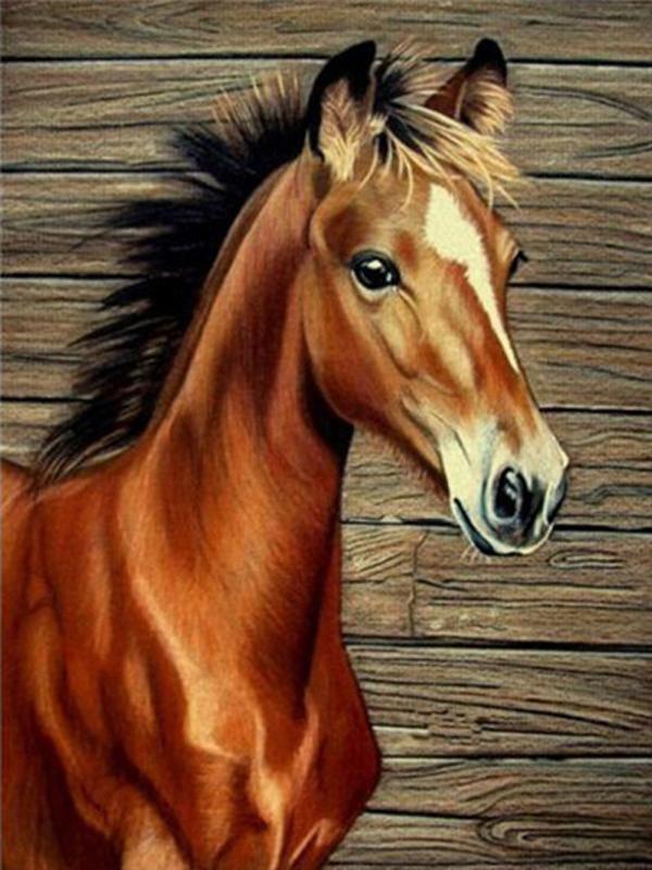 DIY Diamond Painting Animal Cross Stitch Full Round Drill  Steed Painting Embroidery Craft Home Decoration