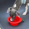 Silicone Dog Collapsible Dishes 350ML Puppy Food Container Water Bowl Pet Folding Bowl Travel