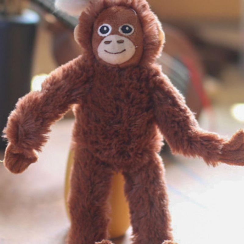 

bookaz [bookaz] Insignificant Monkey Keychain monkey keychain