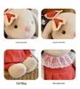 Long-eared Rabbit Plush Toy Skirt-Wearing Doll - Children's Gift