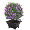 Imitation Purple Clay Flowerpots Durable Thick Bonsai Tray Pots Creative Plants Rack  Home